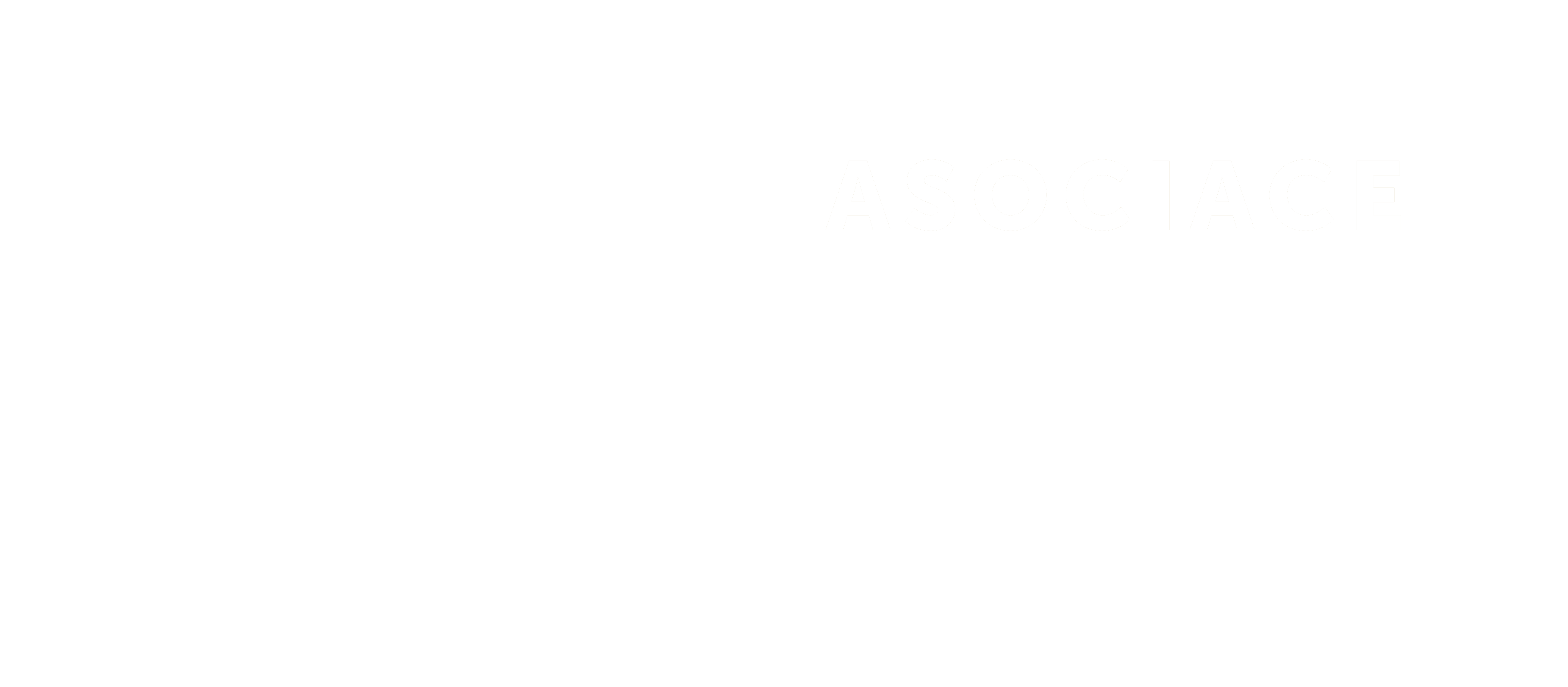 Asociace inspektorů nemovitostí